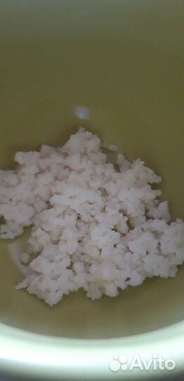 Тибетский молочный гриб