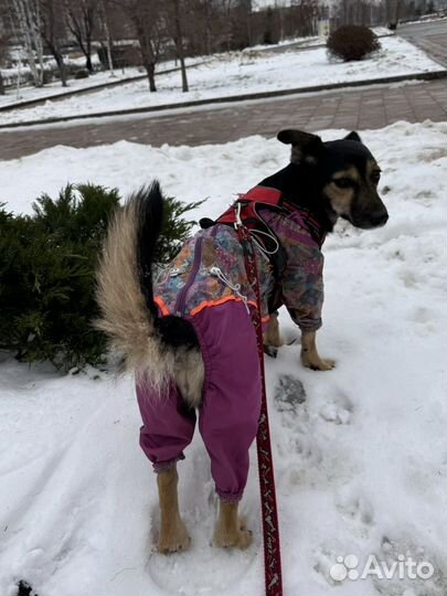 Найдись поскорее единственный друг