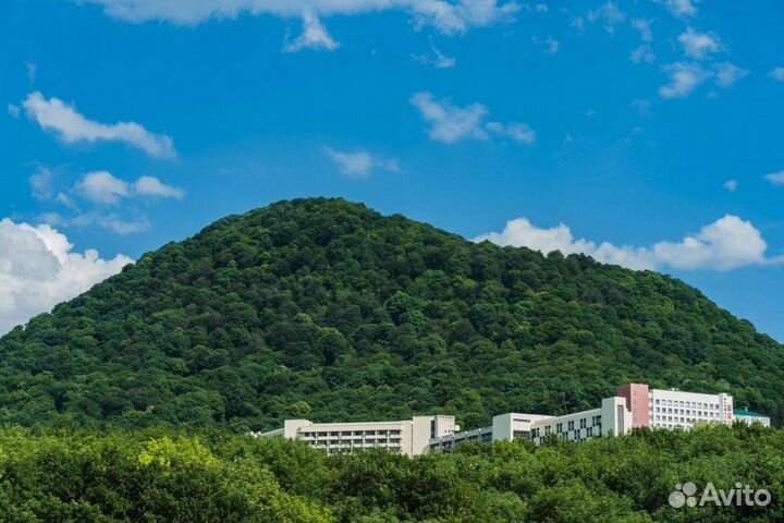 Минеральные воды отдых с лечением