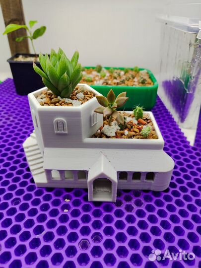 Флорариум(домик, кашпо) для суккулентов