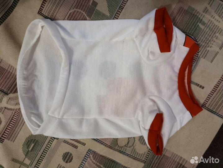 Одежда для собак