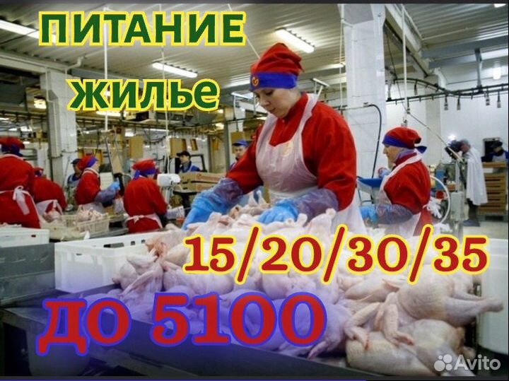 Разнорабочие/ птицефабрика/проживание/питание