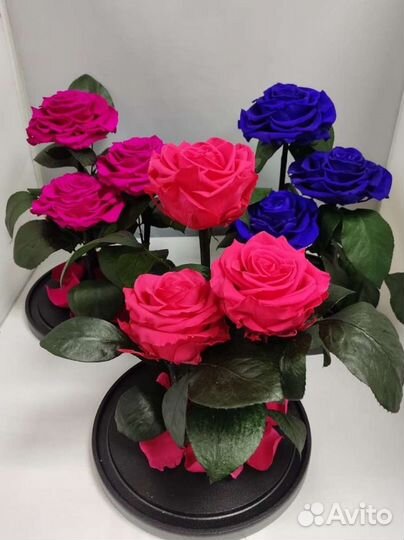Роза в колбе оптом и в розницу