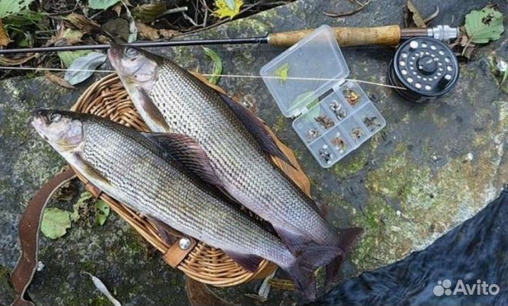 Мухи на хариуса