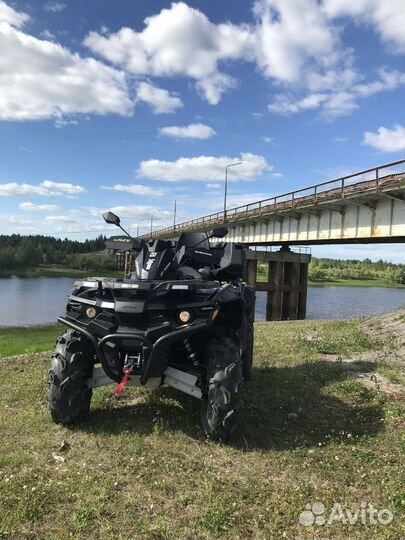 Стелс гепард