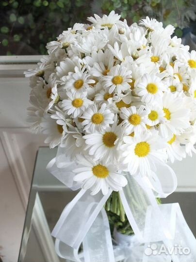 Букет ромашек, ромашка