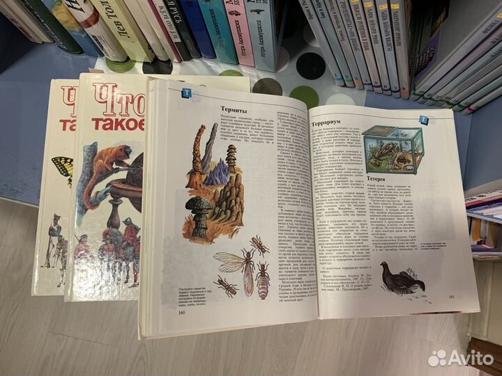 Детская энциклопедия