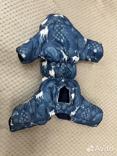 Одежда для собак мелких пород