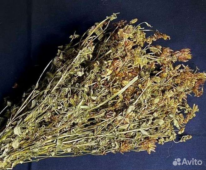 Зверобой в пучке