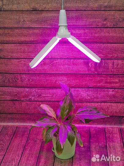 Фитолампа для растений uniel LED-P65-16W