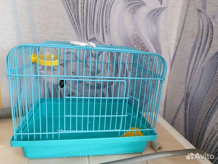 Всë для грызунов