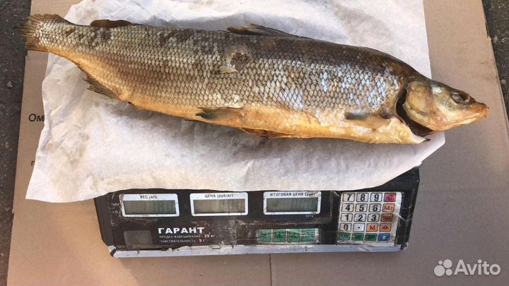 Муксун копченый