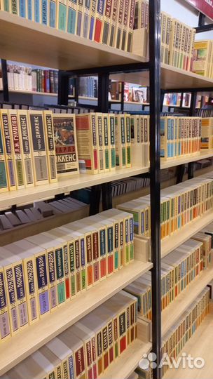 Репетитор по литературе