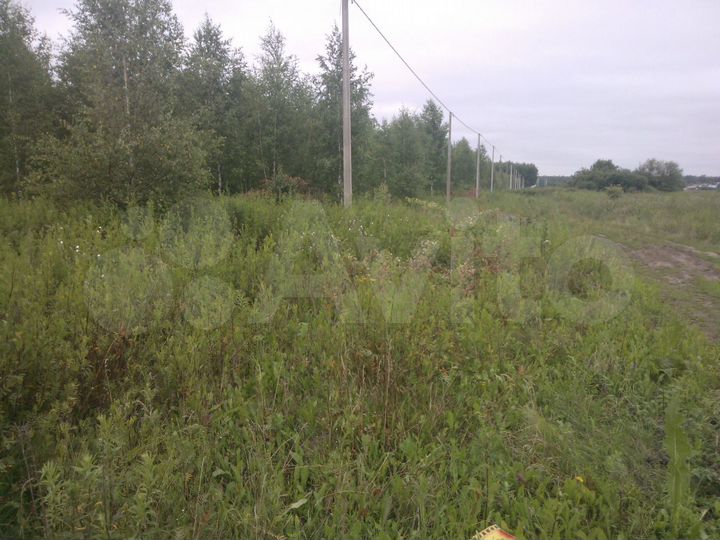 Участок 10 сот. (ИЖС)