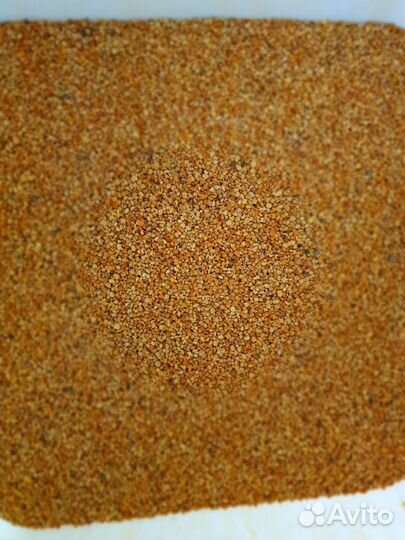 Пыльца цветочная сбор 2024 оптом