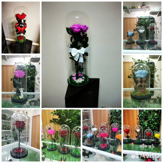 Флорариум. Роза. Пионы. Цветы в колбе. Подарок, от