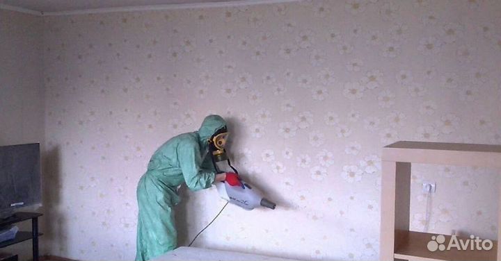 Средство для Уничтожения клопов травли тараканов, блох