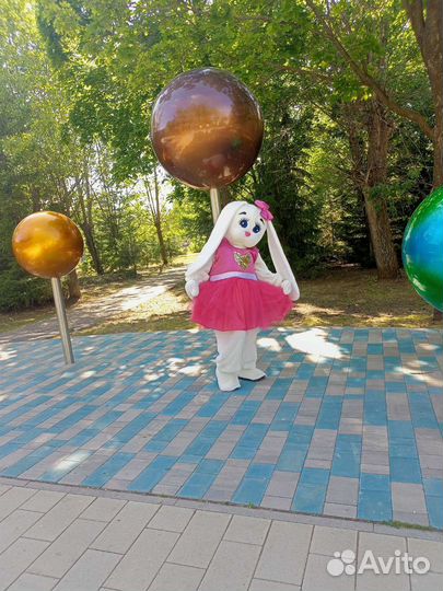 Аниматор+Ростовая кукла+музыка+тортик и шары
