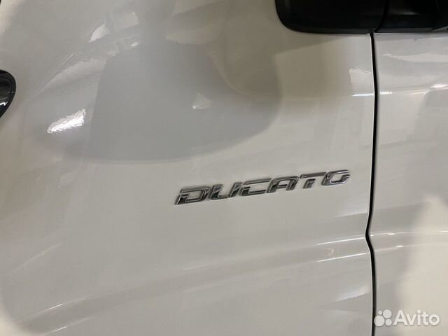 Альковный Fiat Ducato, 2019 объявление продам