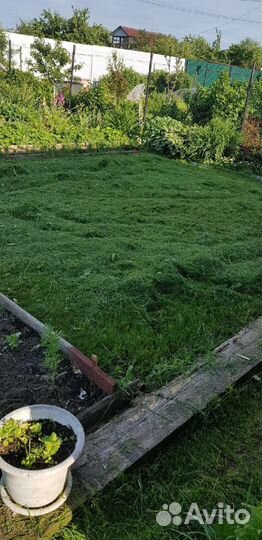 Покос травы и спил деревьев