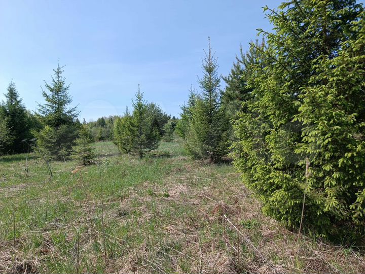 Участок 6 сот. (СНТ, ДНП)