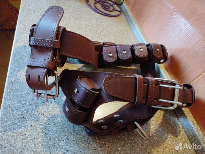 Шлейка для тренировки крупных собак с грузами