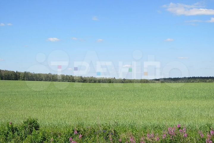 Участок 2,26 га (СНТ, ДНП)