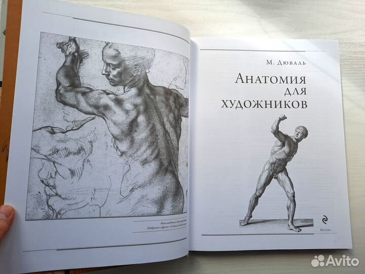 Анатомия для художников (Матиас Дюваль)