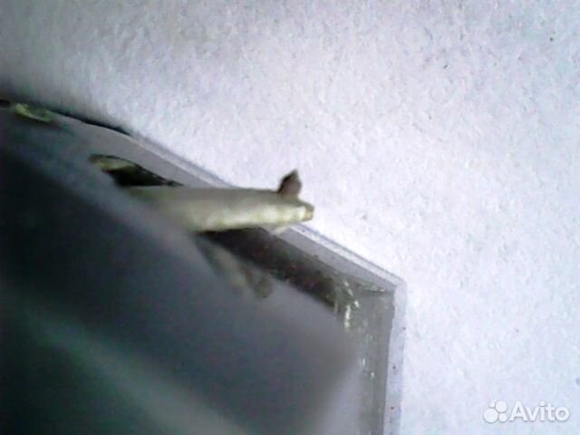 Картридж Pickering NP/AT-S