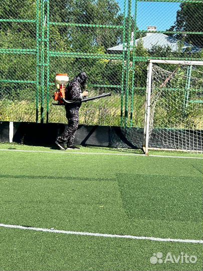 Уничтожение тараканов. Дезинфекция клопов, муравье