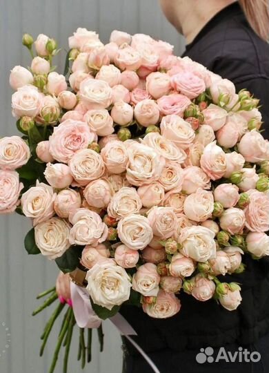 Пионы пионовидная роза