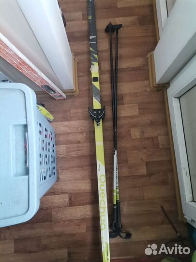 Беговые лыжи