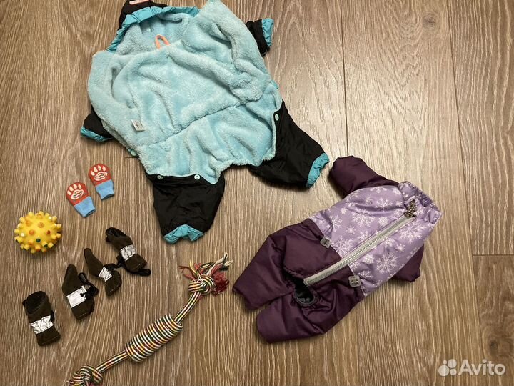 Комбинезон для собаки, и игрушки