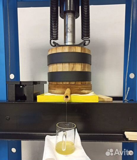 Тыквенное масло сыродавленное