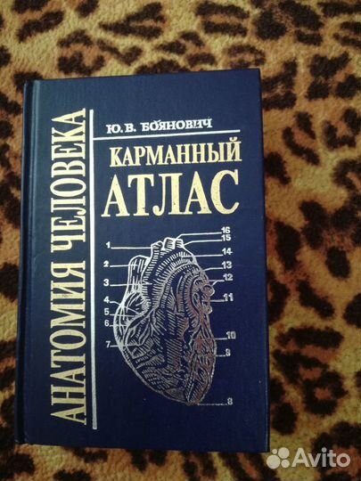 Анатомия человека. Карманный атлас