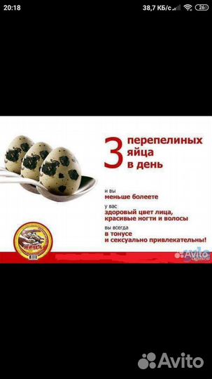 Перепелиное яйцо