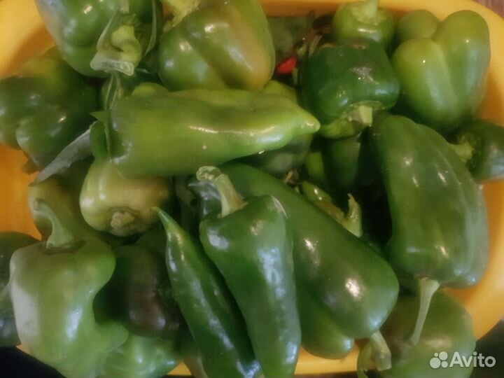 Перец сладкий