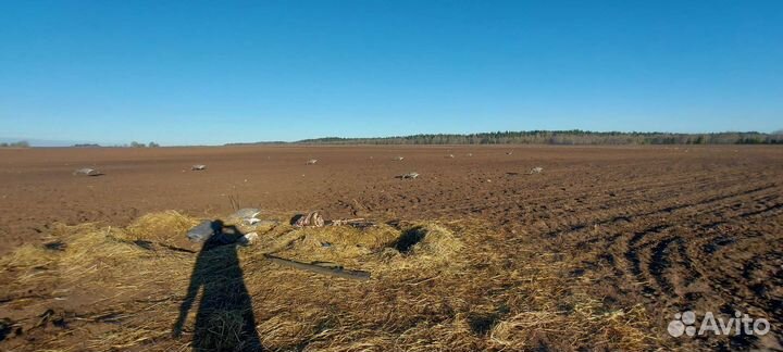 Чучела гуся sport plast