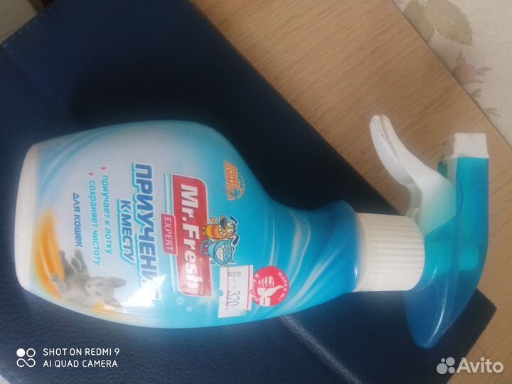 Для котят. Приучение к месту