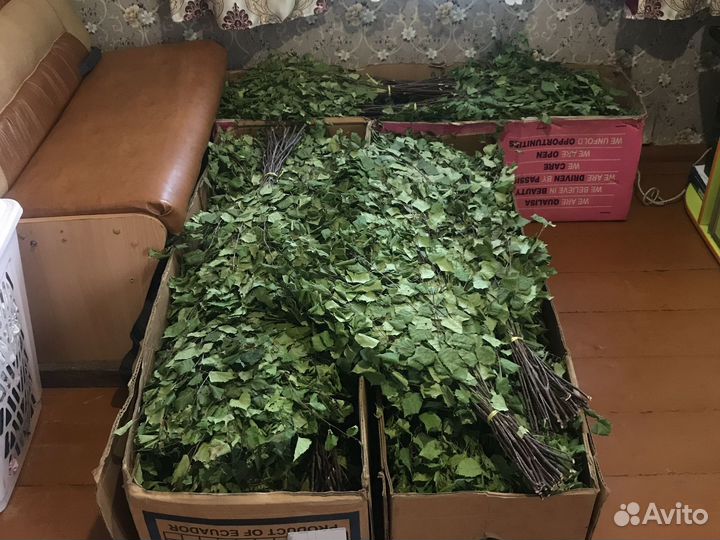 Веники для бани береза