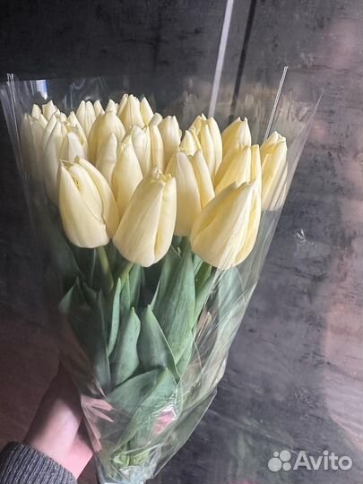 Тюльпаны в розницу