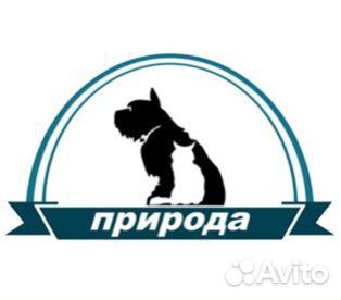 Помощник в узи кабинет