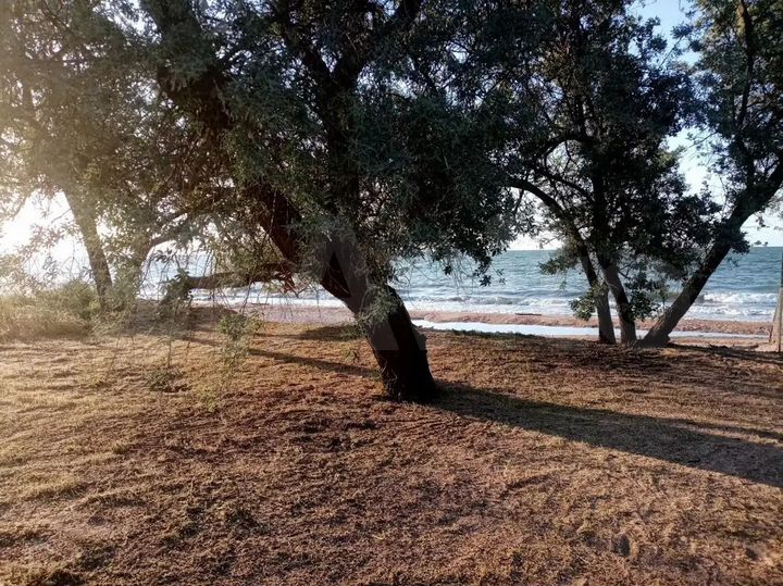 Комната 12 м² в 1-к., 1/1 эт.