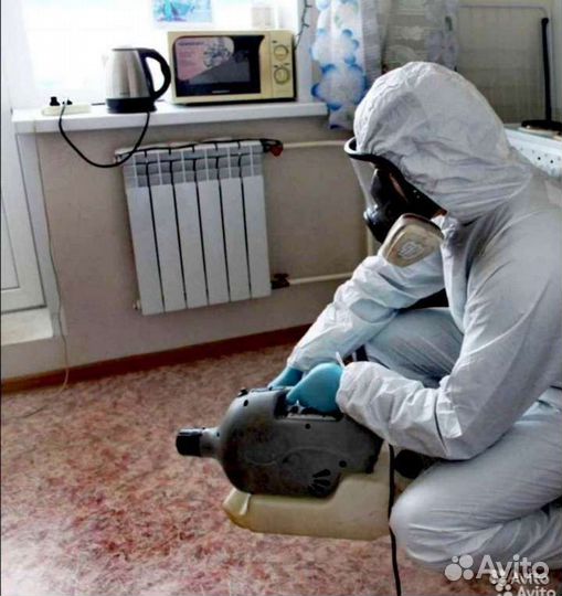 Уничтожение клопов тараканов блох мышей запаха