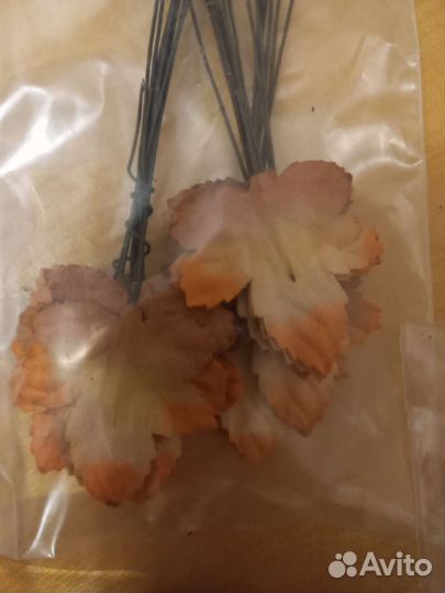 Кленовые листы для рукоделия