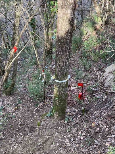 Участок 4 сот. (ИЖС)