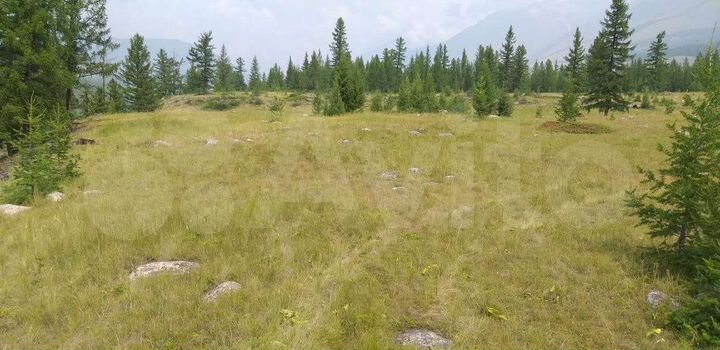 Участок 42,9 га (СНТ, ДНП)