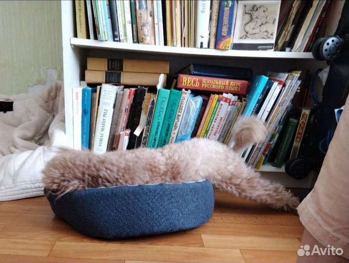 Лежанка-гнездо с подушкой кошке/собаке новая