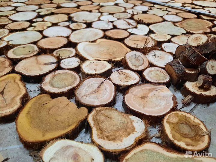 Спилы дерева можжевельник