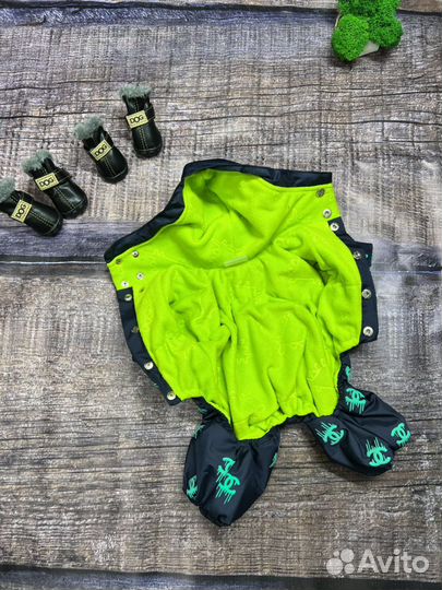 Одежда для собак